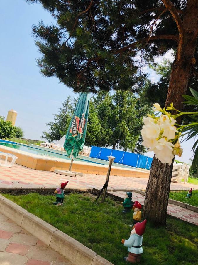 Pensiunea Paradis Vrancean Cotesti  Exterior foto