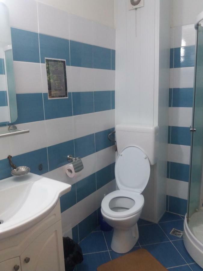 Pensiunea Paradis Vrancean Cotesti  Exterior foto